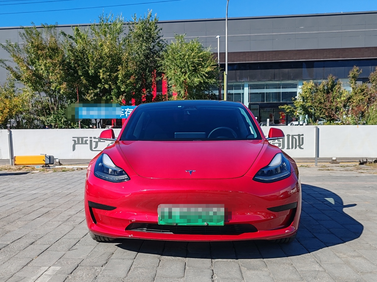 2021年3月特斯拉 Model Y  2020款 改款 標(biāo)準(zhǔn)續(xù)航后驅(qū)升級版