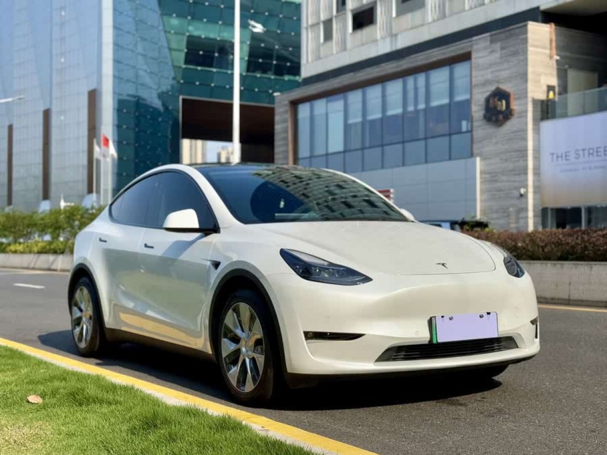 特斯拉 Model Y  2021款 標(biāo)準(zhǔn)續(xù)航后驅(qū)版圖片