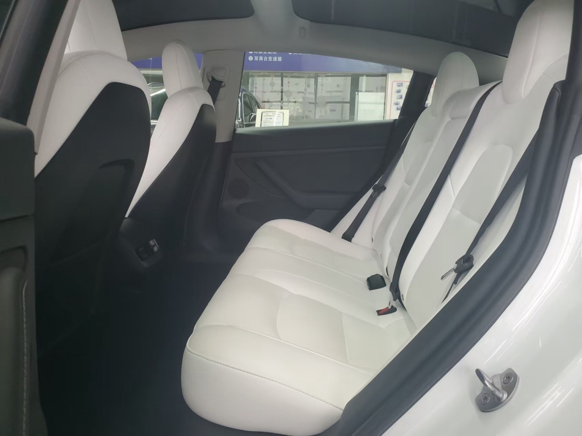 特斯拉 Model 3  2022款 Performance高性能全輪驅(qū)動版圖片