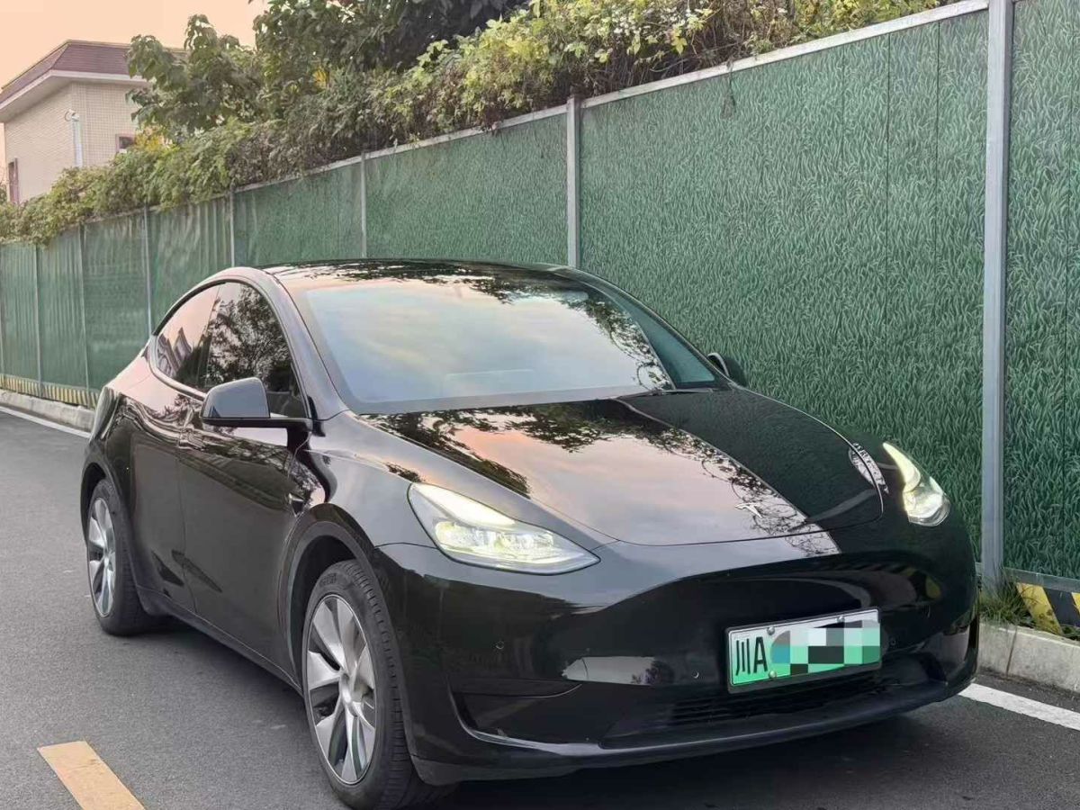 特斯拉 Model 3  2022款 Performance高性能全輪驅(qū)動(dòng)版圖片