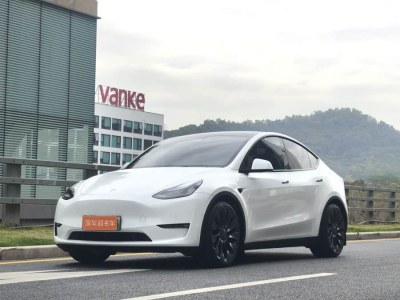 2022年6月 特斯拉 Model 3 Performance高性能全輪驅(qū)動(dòng)版圖片