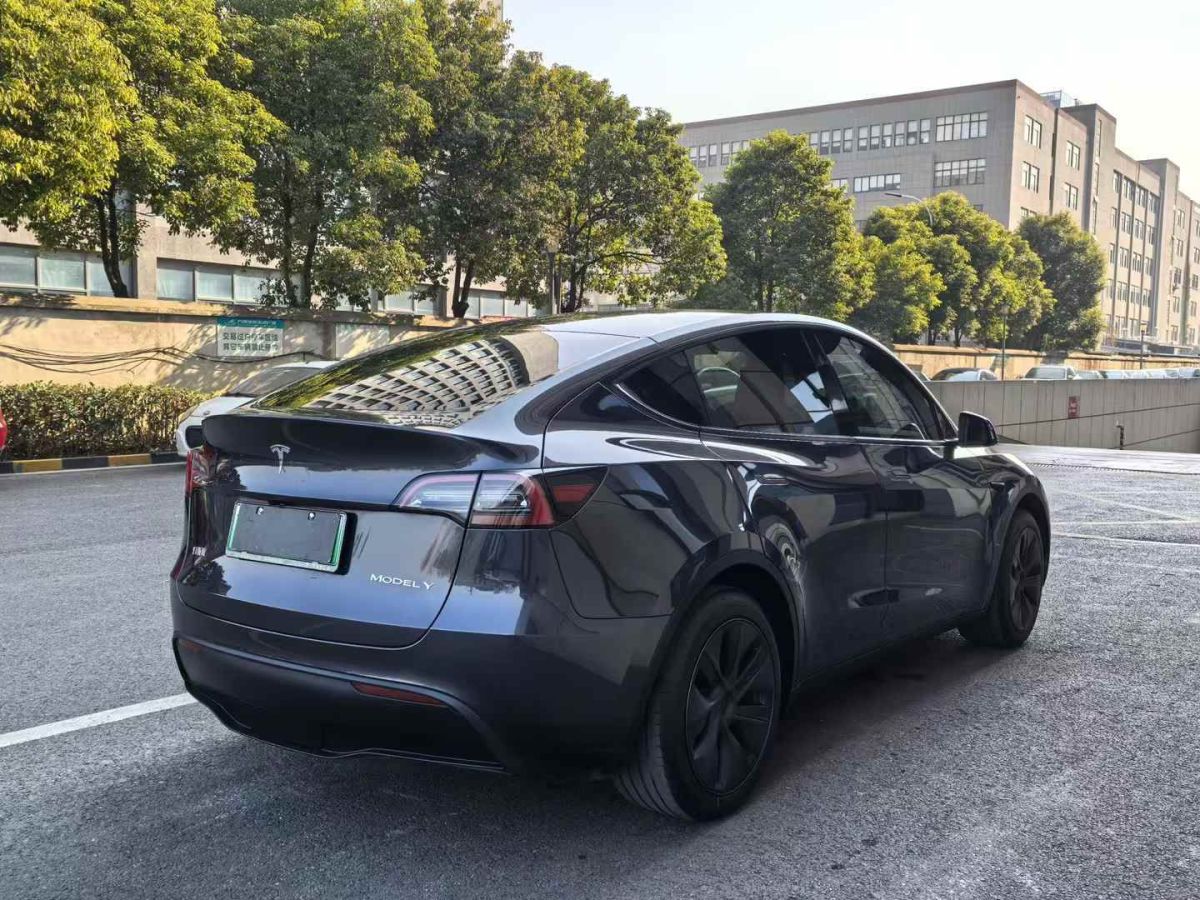 特斯拉 Model Y  2024款 Performance高性能版圖片