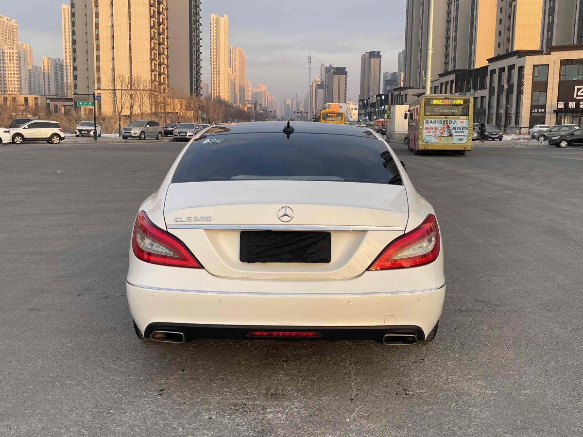 奔馳 奔馳CLS級  2012款 CLS 300 CGI圖片