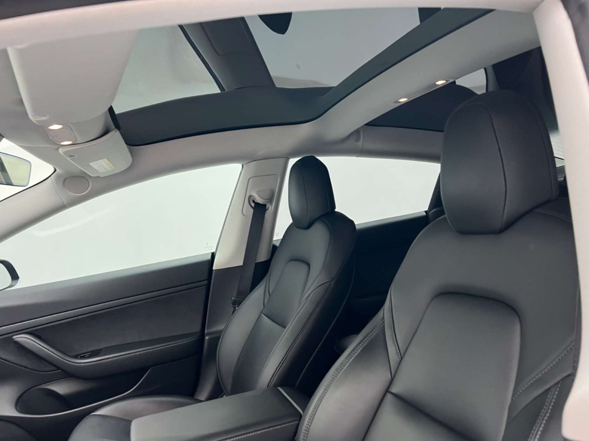 特斯拉 Model 3  2019款 標(biāo)準(zhǔn)續(xù)航后驅(qū)升級版圖片