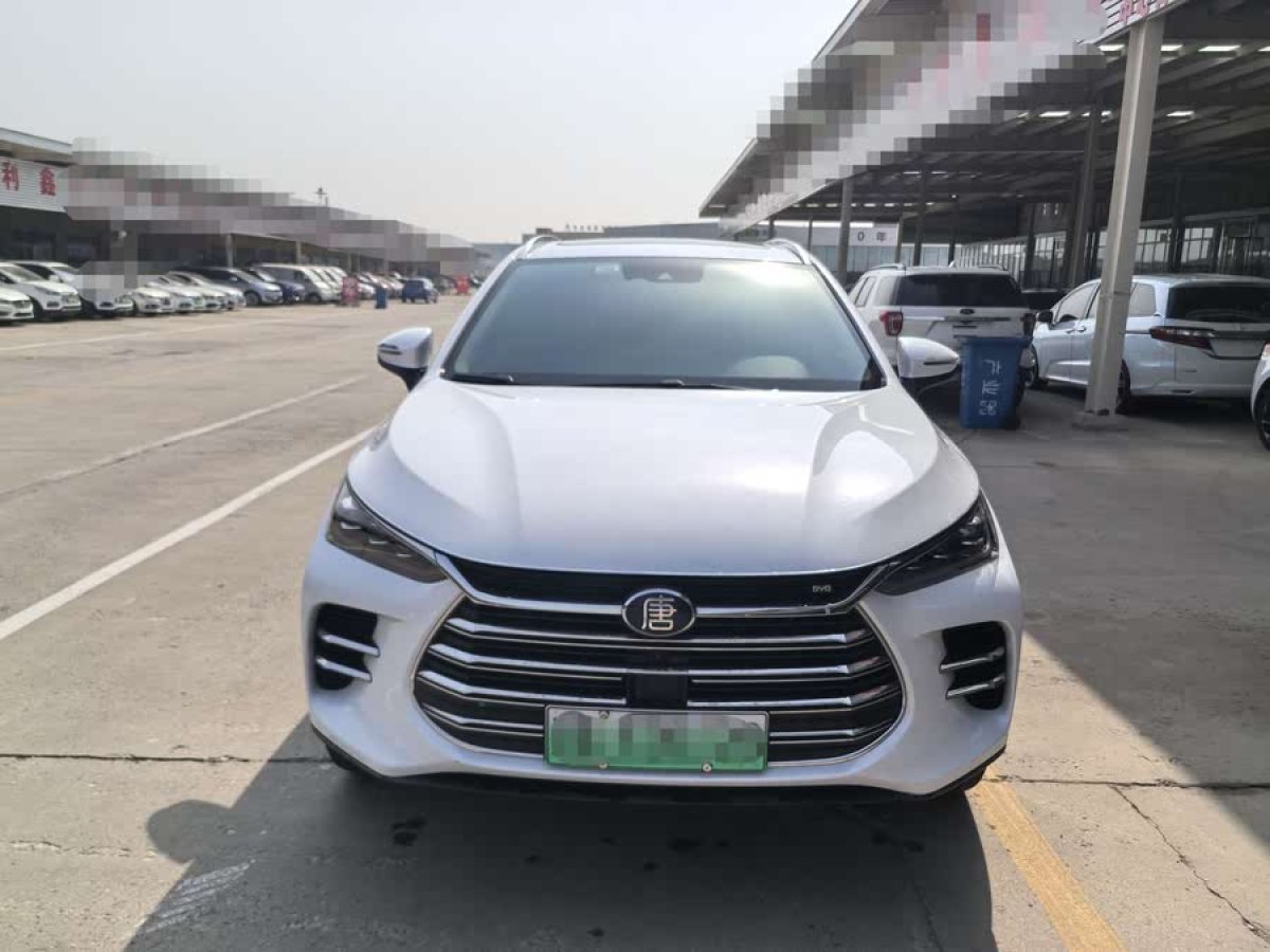 比亞迪 唐新能源  2018款 DM 2.0T 全時四驅(qū)智聯(lián)創(chuàng)享型 7座 國VI圖片