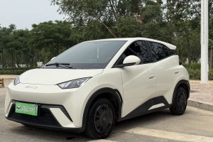 海鷗 比亞迪 榮耀版 305km 活力版