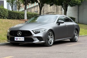 奔馳CLS級(jí) 奔馳 CLS 300 動(dòng)感型