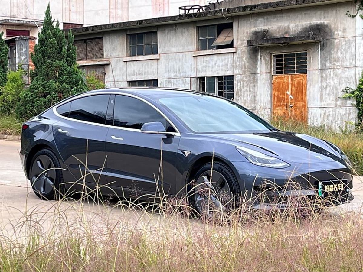 特斯拉 Model Y  2020款 改款 標準續(xù)航后驅(qū)升級版圖片