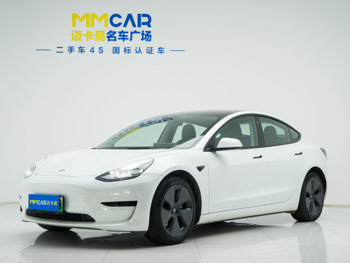 特斯拉 Model 3  2021款 標(biāo)準(zhǔn)續(xù)航后驅(qū)升級(jí)版 3D6圖片