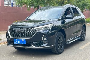 M6 哈弗 PLUS 1.5T 手動(dòng)智享型