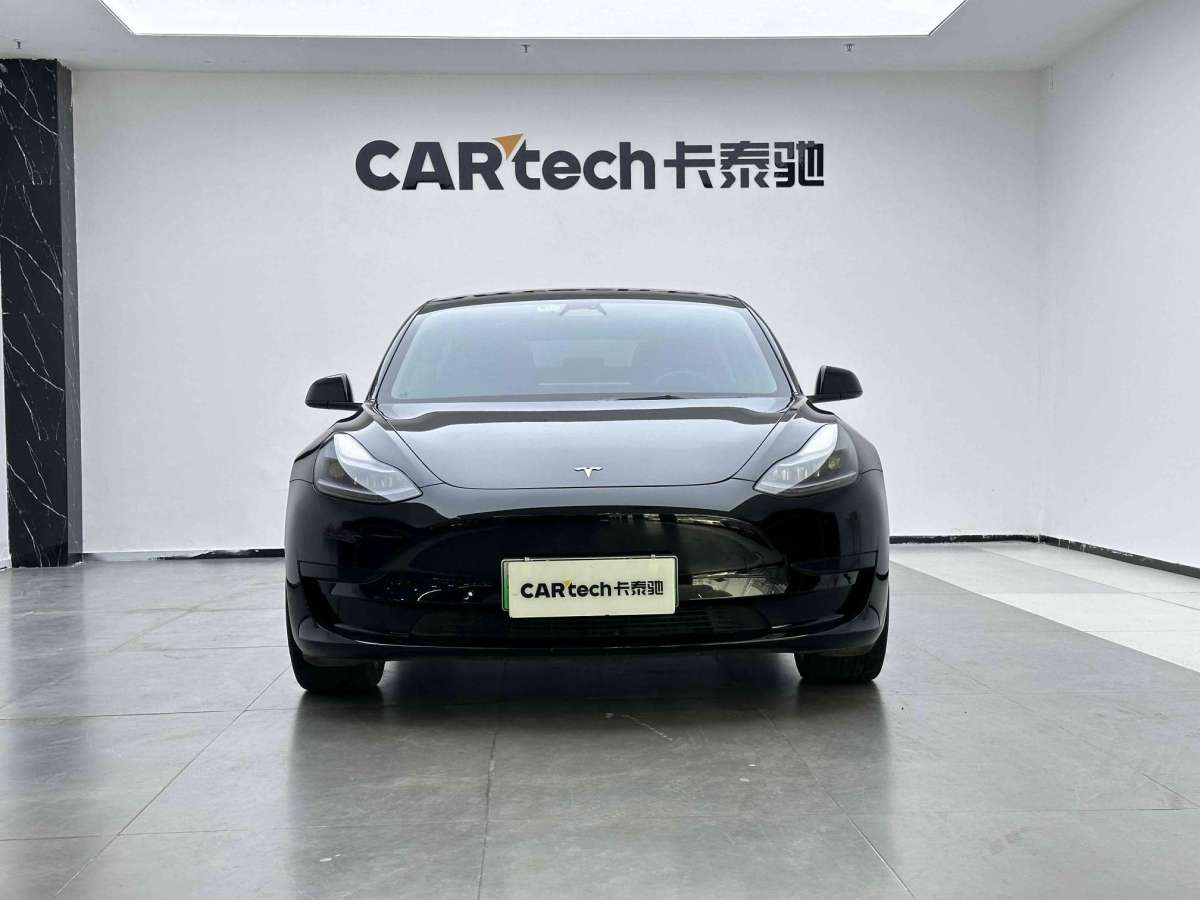 特斯拉 Model 3  2022款 后輪驅(qū)動(dòng)版圖片