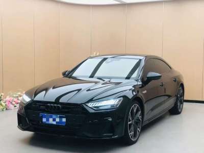 2024年6月 奧迪 奧迪A7L 45 TFSI quattro S-line 黑武士版圖片