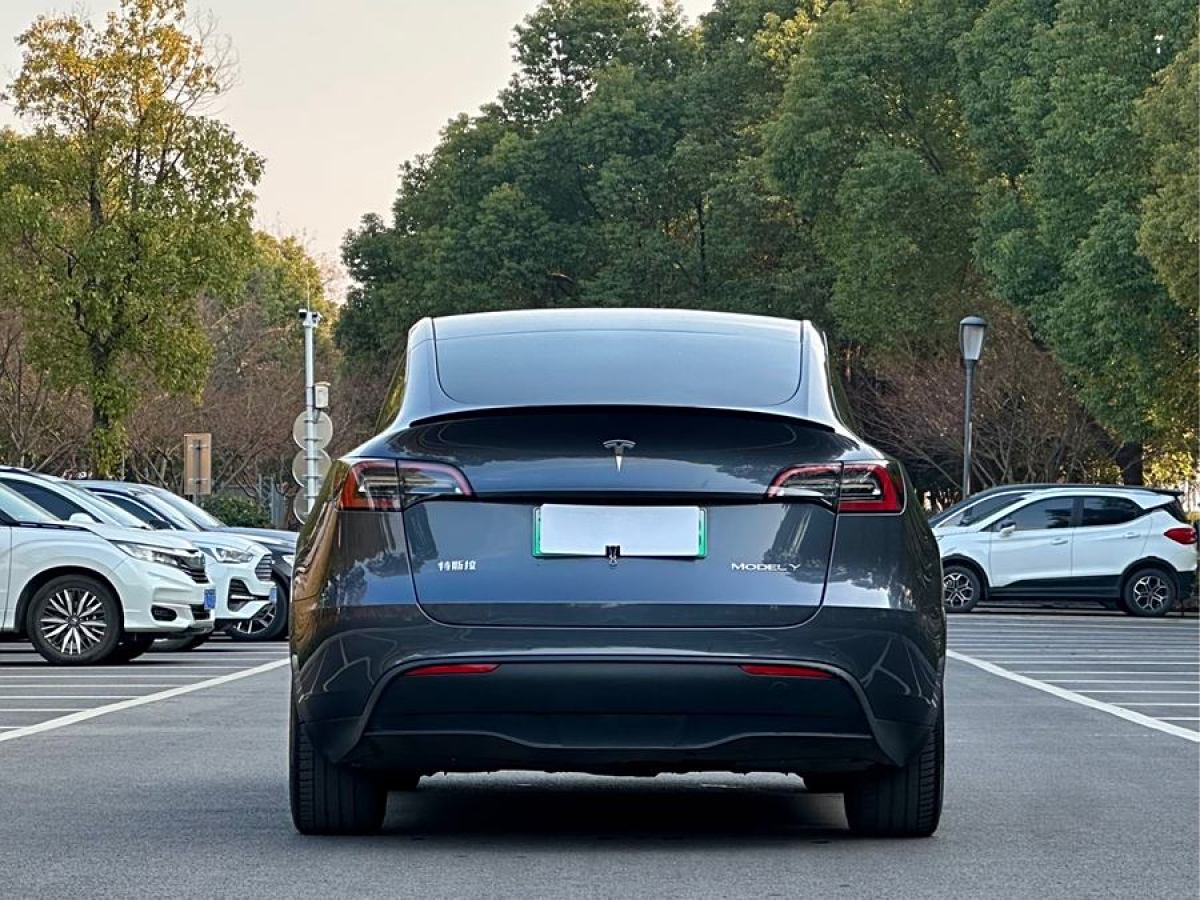 特斯拉 Model Y  2022款 改款 長(zhǎng)續(xù)航全輪驅(qū)動(dòng)版圖片