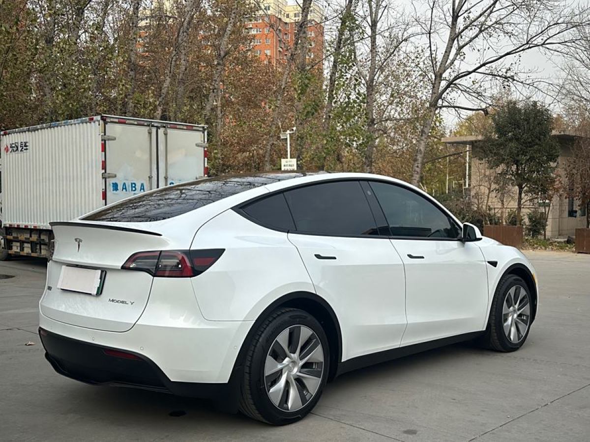 特斯拉 Model 3  2021款 改款 標(biāo)準(zhǔn)續(xù)航后驅(qū)升級(jí)版圖片