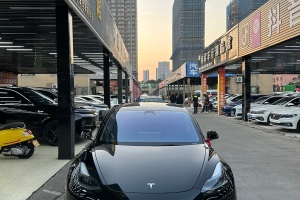 Model 3 特斯拉 標準續(xù)航后驅升級版