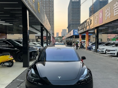 2021年3月 特斯拉 Model 3 標(biāo)準(zhǔn)續(xù)航后驅(qū)升級(jí)版圖片