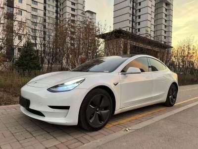 2020年7月 特斯拉 Model 3 標準續(xù)航后驅(qū)升級版圖片