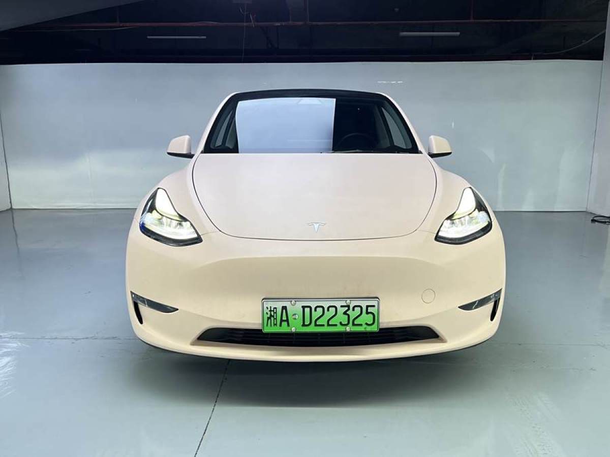 特斯拉 Model 3  2021款 改款 標準續(xù)航后驅升級版圖片