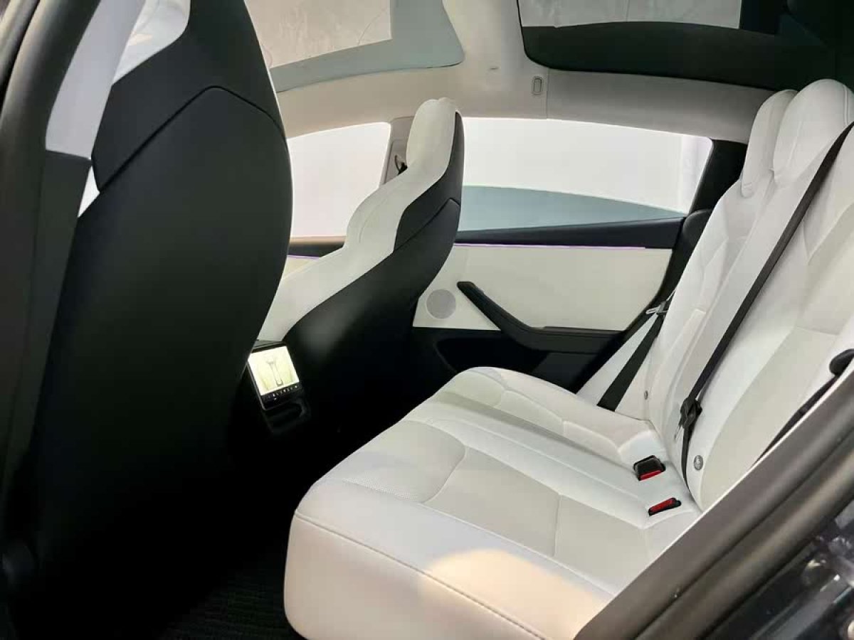 特斯拉 Model 3  2024款 高性能全輪驅動版圖片