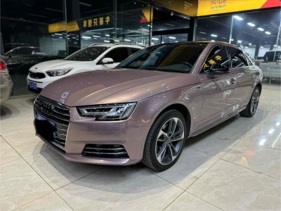 2018年2月 奥迪 奥迪A4L 30周年年型 40 TFSI 进取型图片