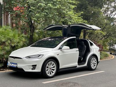 2017年6月 特斯拉 Model X Model X 75D圖片