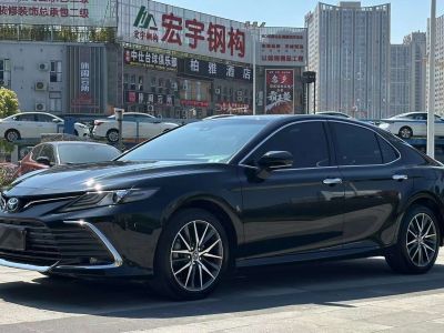 2022年1月 上汽大通 上汽大通MAXUS MIFA 9 云上草原圖片