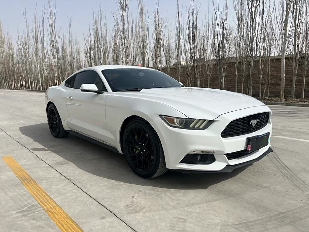 福特 Mustang  2016款 2.3T 性能版圖片