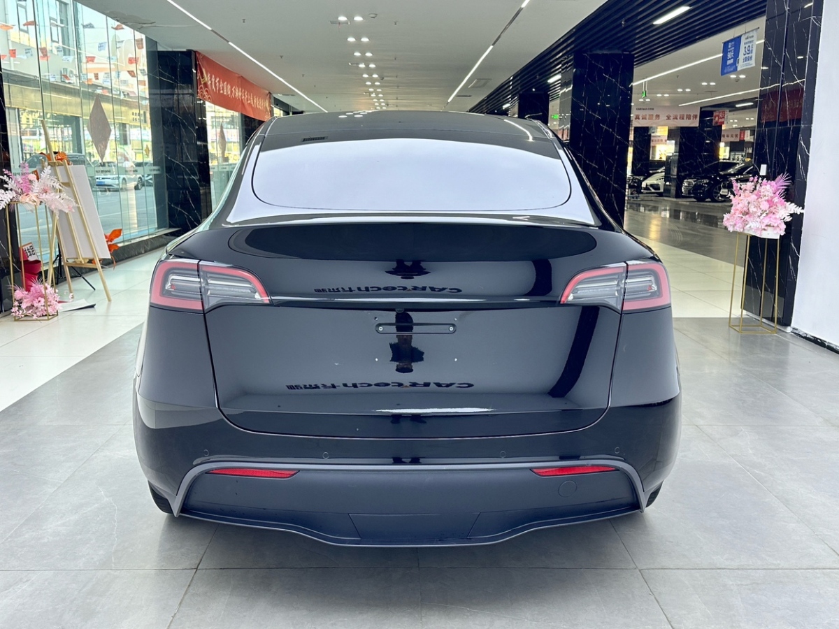 特斯拉 Model Y 2021款 標(biāo)準(zhǔn)續(xù)航后驅(qū)版圖片