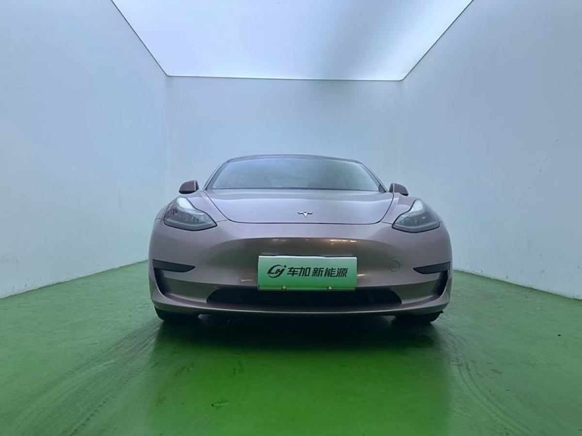 2021年3月特斯拉 Model 3  2021款 改款 標(biāo)準(zhǔn)續(xù)航后驅(qū)升級(jí)版