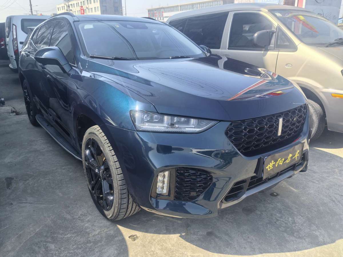 WEY VV7  2019款 升級(jí)款 2.0T 豪華型圖片