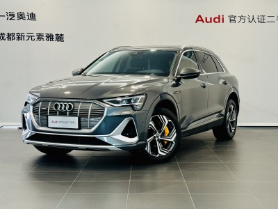 2021年9月 奥迪 奥迪e-tron 50 quattro 臻选型图片