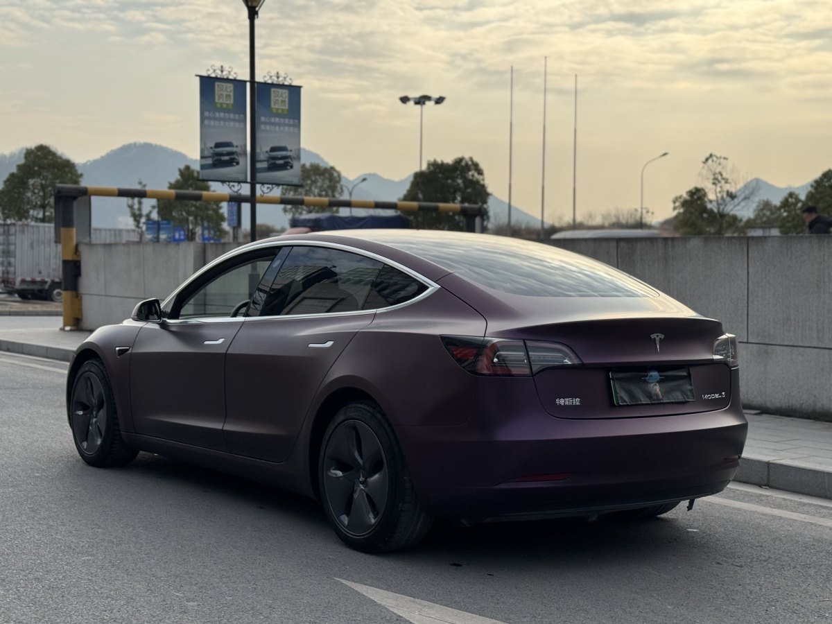 特斯拉 Model 3  2019款 標(biāo)準(zhǔn)續(xù)航后驅(qū)升級(jí)版圖片