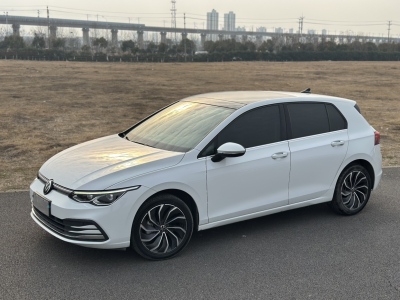 2022年03月 大眾 高爾夫 280TSI DSG Pro 首發(fā)版圖片