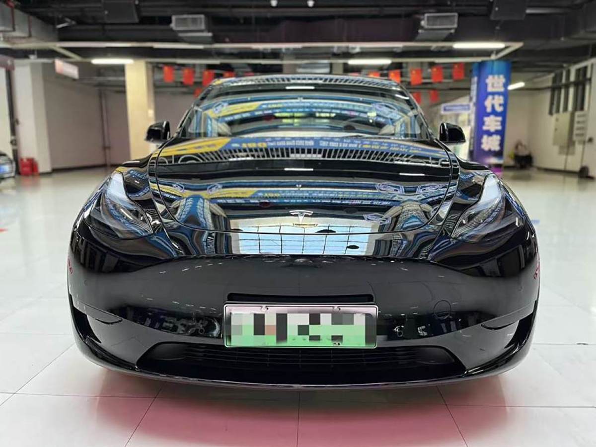 特斯拉 Model 3  2020款 改款 長續(xù)航后輪驅(qū)動版圖片