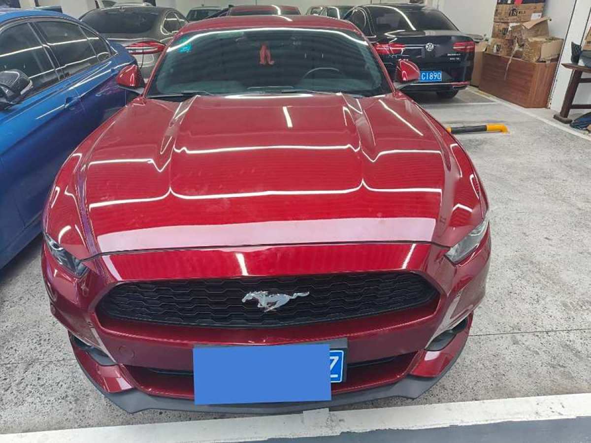 福特 Mustang  2015款 2.3T 性能版圖片