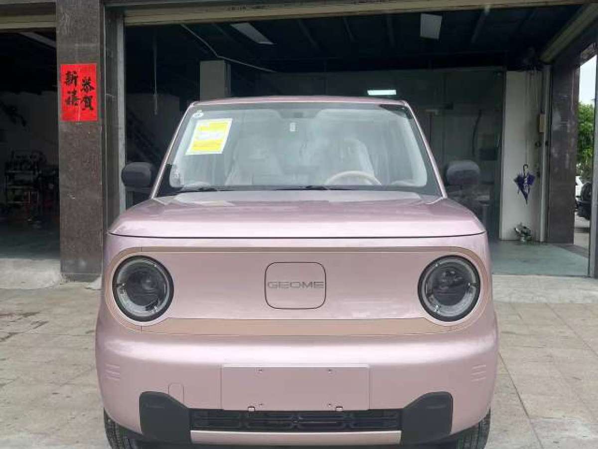 吉利 熊貓mini  2024款 熊貓mini 200km 龍騰版圖片