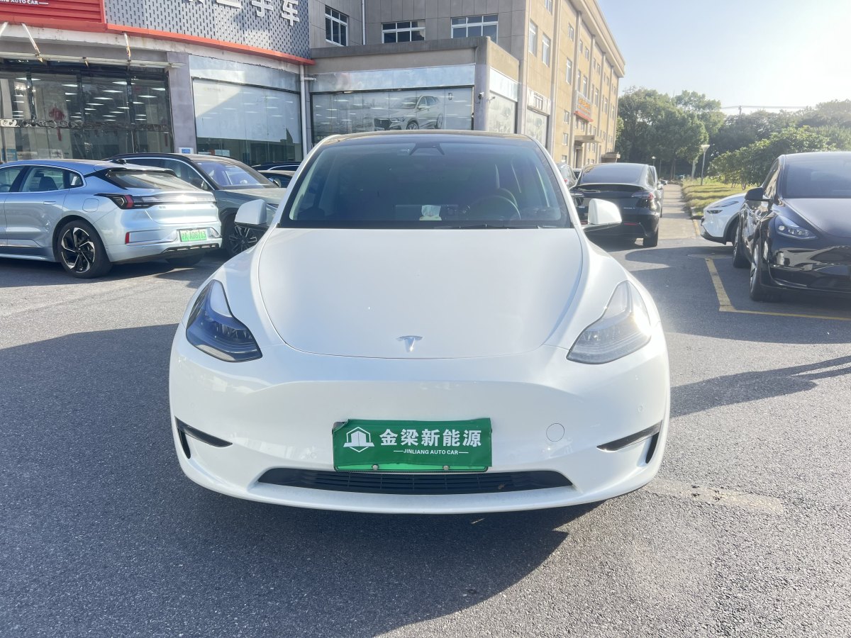 特斯拉 Model 3  2022款 Performance高性能全輪驅(qū)動版圖片