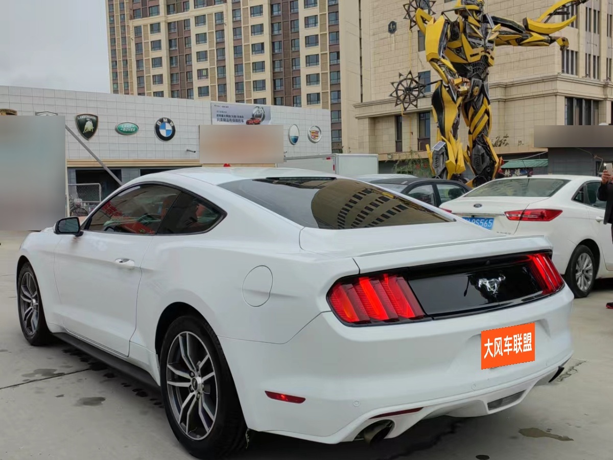 福特 Mustang  2016款 2.3T 性能版圖片