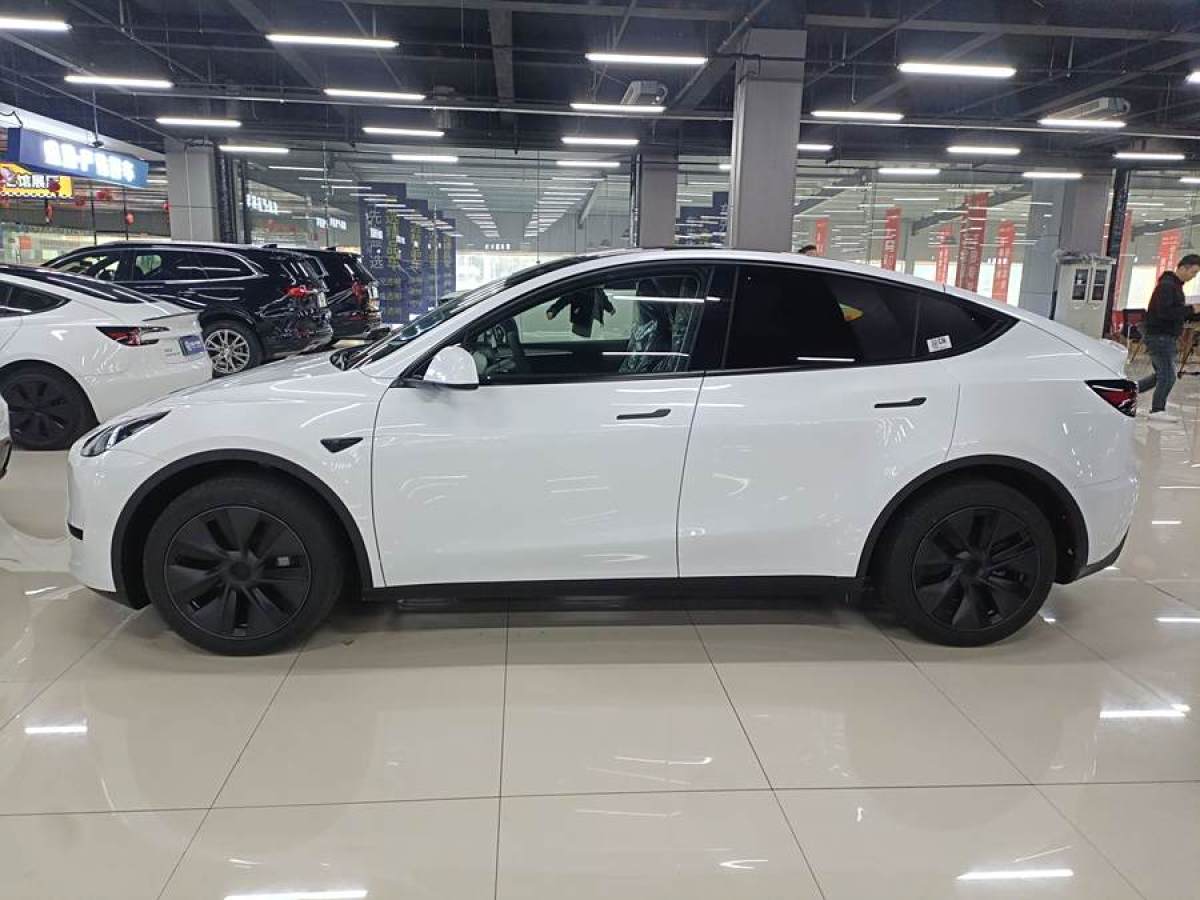 特斯拉 Model 3  2020款 改款 長(zhǎng)續(xù)航后輪驅(qū)動(dòng)版圖片