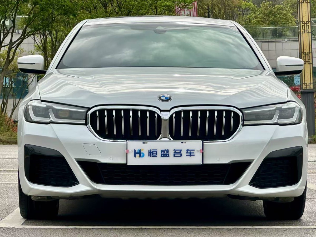 寶馬 寶馬5系  2022款 530Li 領(lǐng)先型 M運動套裝圖片