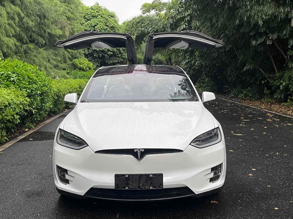 特斯拉 Model X  2016款 Model X 75D圖片