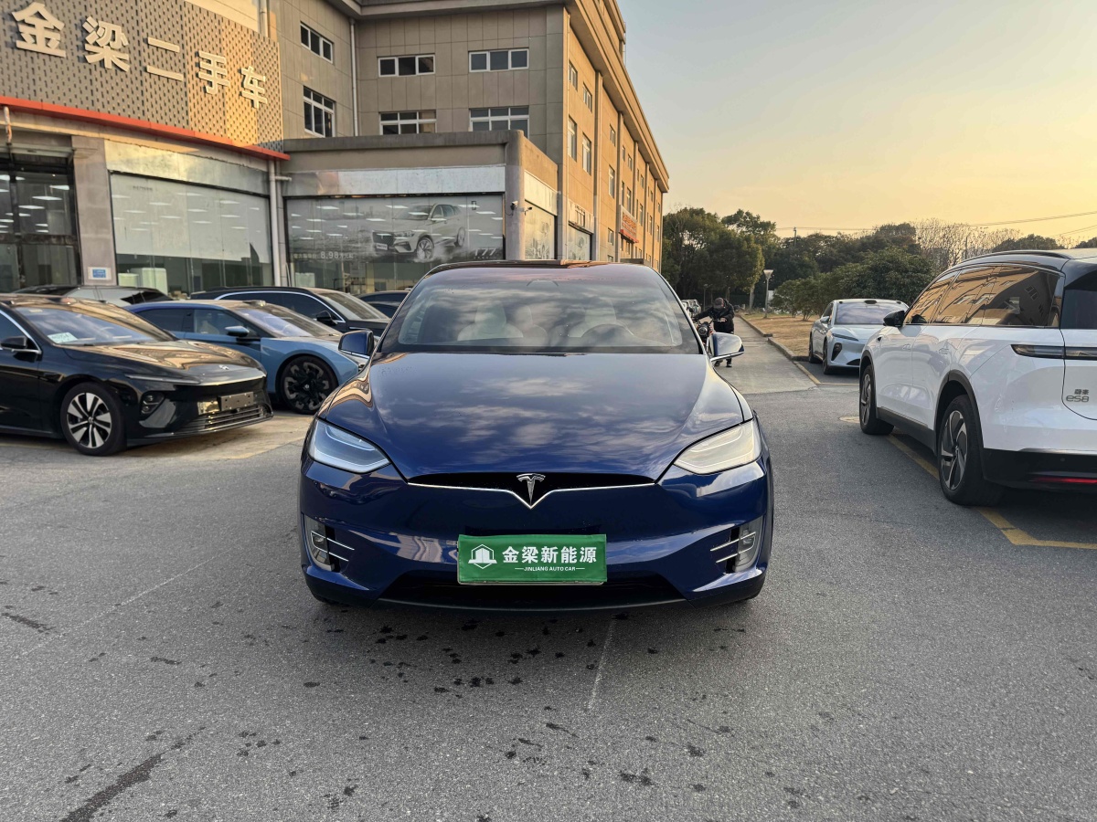 特斯拉 Model X  2017款 Model X 100D 長續(xù)航版圖片