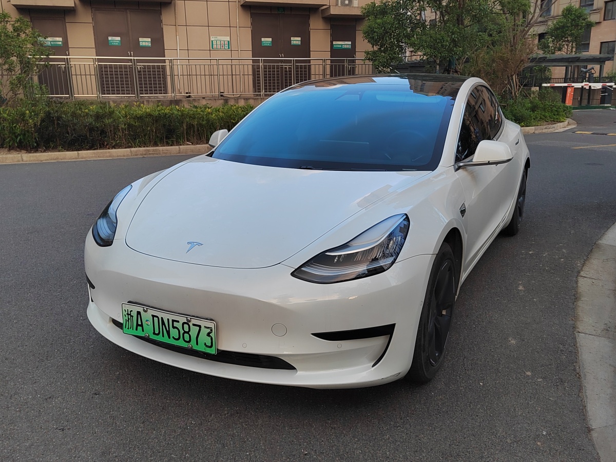 特斯拉 Model 3  2019款 標(biāo)準(zhǔn)續(xù)航后驅(qū)升級(jí)版圖片