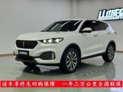 2020年3月 WEY VV6 2.0T 四驅(qū)智馭+圖片