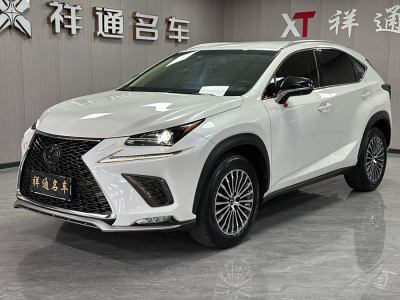 2019年2月 雷克薩斯 NX 300 前驅(qū) 鋒行版圖片