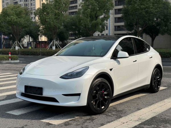 特斯拉 Model 3  2022款 改款 长续航全轮驱动版