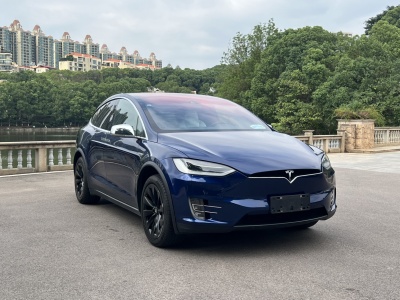 2017年1月 特斯拉 Model X Model X 75D圖片