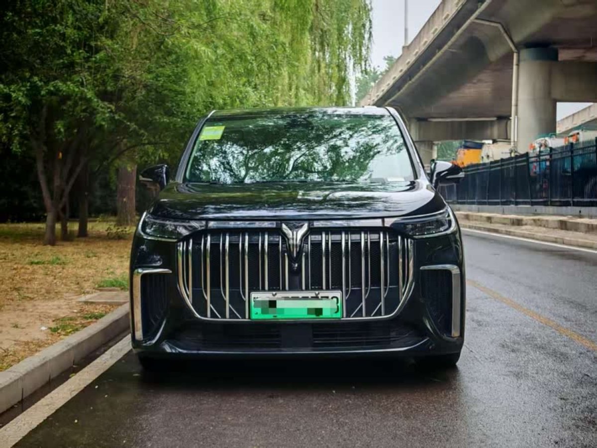 嵐圖 夢想家  2024款 PHEV 超長續(xù)航旗艦版圖片