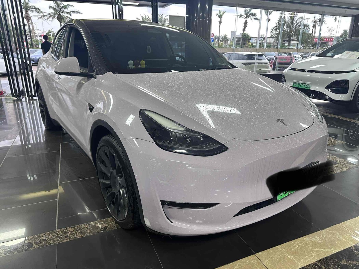 特斯拉 Model Y  2021款 標準續(xù)航后驅(qū)版圖片