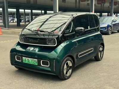 2022年1月 宝骏 宝骏KiWi EV 艺术家 三元锂图片